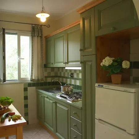 Tallinucci ラコナ